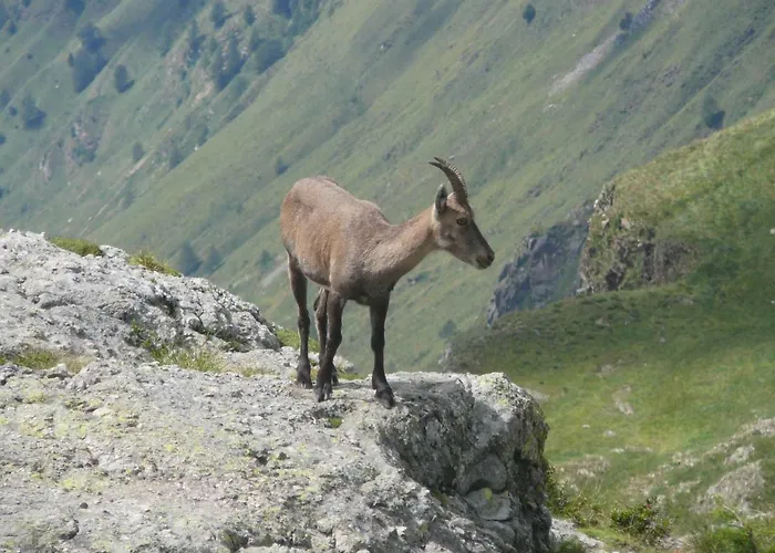 Lullaby Appartamento